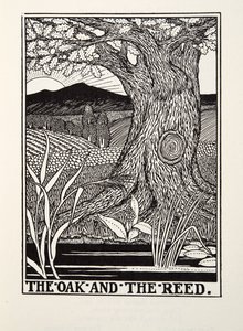 البلوط والقصب ، من Fontaine Fables ، حانة. 1905