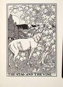 الأيل والكرمة ، من Fontaine Fables ، حانة. 1905