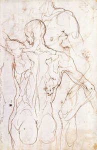 عاري من الخلف ، ينظر إلى اليسار ، ودراسات أخرى لكتفه الأيسر وساقه اليمنى ، بواسطة Perino del Vaga