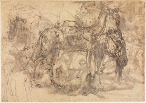 رسومات الحيوانات مقابل ، ج. 154547. بواسطة Perino del Vaga