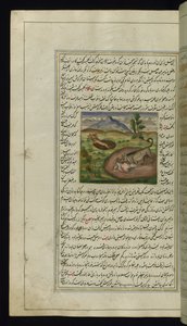 ابن آوى يأكل الأرنب من أضواء كانوب ، 1847 بواسطة المدرسة الفارسية