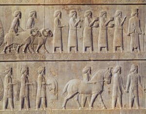 تفاصيل إفريز بارز على الدرج الشرقي إلى أبادانا (قاعة الجمهور) يصور مندوبين من الأراضي الخاضعة للإمبراطورية حاملين هدايا فخمة لمراسم ، الفترة الأخمينية ، حوالي 515 قبل الميلاد (الحجر الجيري) بواسطة المدرسة الفارسية