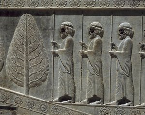 حراس سوسة. نقوش السلم الشرقي لأبادانا ، القرن السادس قبل الميلاد بواسطة المدرسة الفارسية