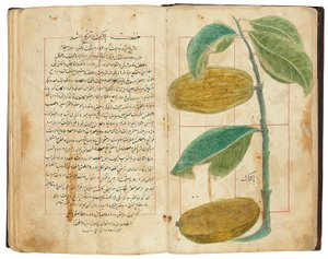 Hassan Bin Baqir Bin Jarrah: Gulzar Al-Rayahin, Qajar Iran بواسطة المدرسة الفارسية