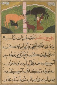  بواسطة المدرسة الفارسية