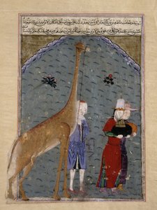 سفراء السلطان المصري الناصر فرج بن برقق يقدمون هدايا التكريم ، بما في ذلك الزرافة ، إلى تيمور ، رسم توضيحي من ظفرنامة شرف الدين علي يزديشراز ، 1436 (الحبر ، بواسطة المدرسة الفارسية