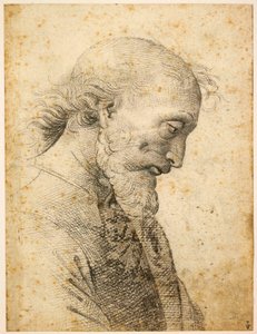 تمثال نصفي لرجل ، 1500-1503.