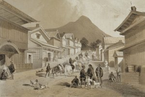 شارع في هاكودادي ، من "سرد رحلة سرب أمريكي إلى بحار الصين واليابان" ، حانة. بواسطة Sarony und Co. ، 1856 (ليثو ملون)