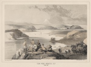 منظر من جزيرة وبستر ، خليج ييدو ، ليثو بواسطة Sarony und Co. ، 1855 (chromolitho)