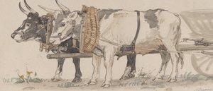 ثيران يسحبان عربة ، 1874. بواسطة بيتر كريستيان ثامسن سكوفجارد