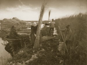 خلال حصاد القصب ، الحياة والمناظر الطبيعية على نورفولك برودز ، c.1886