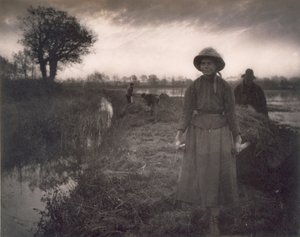 Poling the Marsh Hay ، الحياة والمناظر الطبيعية على نورفولك برودز ، 1886