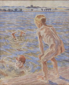 الأولاد الاستحمام. Fåborg Fjord