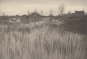 شاطئ رشي، 1886 (صورة فوتوغرافية) بواسطة بيتر هنري ايمرسون