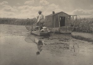 منزل صائد ثعبان البحر، 1886 (صورة) بواسطة بيتر هنري ايمرسون