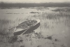 مدفعي يعمل حتى الطائر، 1886 (صورة فوتوغرافية) بواسطة بيتر هنري ايمرسون