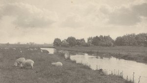 على نهر بوري، 1886 (صورة) بواسطة بيتر هنري ايمرسون