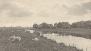 على نهر بوري 1886. بواسطة بيتر هنري ايمرسون