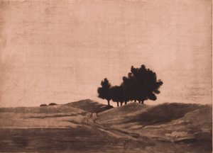 المناظر الطبيعية المسائية