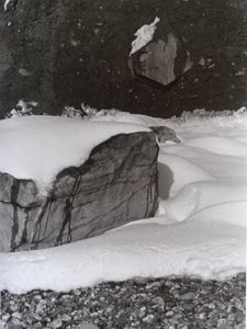 VINTAGE B&W PHOTO No.3، 1985، (PHOTOGRAPH) بواسطة بيتر مكلور