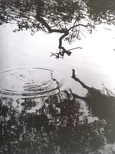 VINTAGE B&W PHOTO No.5، 1986، (PHOTOGRAPH) بواسطة بيتر مكلور