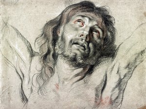 رأس المسيح على الصليب - بيتر بول روبنز (رسم) بواسطة بيتر بول روبنز