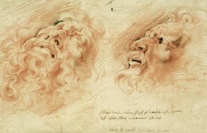 دراستان بعد رأس Laocoon بواسطة بيتر بول روبنز