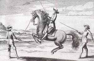 رسم توضيحي لخيول أون Croupade من دراسة جديدة لتربية الخيول كتبها Winters ، Stuterey و Reit-Schul ، pub. 1672 بواسطة بيتر بول تروشيل