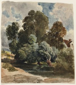 Grove of Trees (وجه) ، رسم تخطيطي لكنيسة Aderley (الظهر) بواسطة بيتر دي وينت