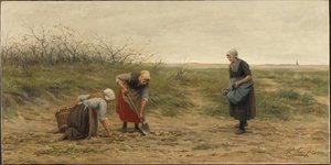 نساء Scheveningen يقرأن حقل بطاطس تم تطهيره بواسطة فيليب سادي
