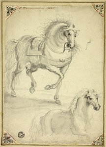 رسمان تخطيطيان لخيول الهرولة بواسطة فيليبس Wwwerman