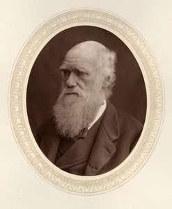 صورة تشارلز داروين 1809-1882 ، 1877. بواسطة استوديو الصور لوك وويتفيلد