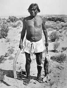Hopi Hunter (b/w photo) بواسطة المصور أمريكي