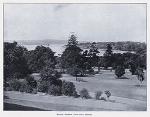 الحدائق النباتية ، فارم كوف ، سيدني (b / w photo) بواسطة مصور فوتوغرافي استرالي