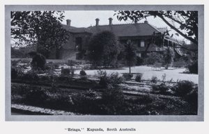 "Eringa ،" Kapunda ، جنوب أستراليا (b / w photo) بواسطة مصور فوتوغرافي استرالي