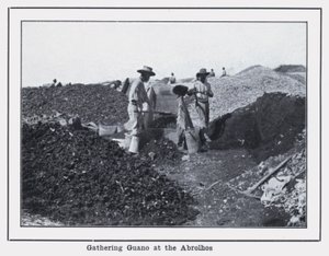 جمع ذرق الطائر في Abrolhos (b / w photo) بواسطة مصور فوتوغرافي استرالي