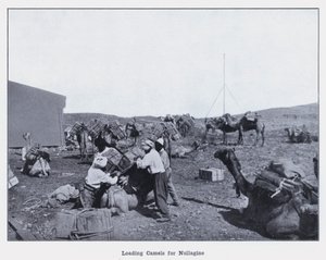 تحميل الإبل لـ Nullagine (b / w photo) بواسطة مصور فوتوغرافي استرالي