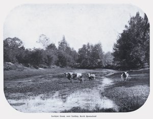 Lockyer Creek ، بالقرب من Laidley ، جنوب كوينزلاند (b / w photo) بواسطة مصور فوتوغرافي استرالي