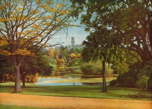  بواسطة مصور فوتوغرافي استرالي