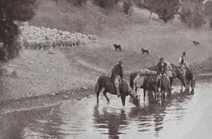 الباقي ، Stockmen الأسترالي النموذجي (صورة b / w) بواسطة مصور فوتوغرافي استرالي