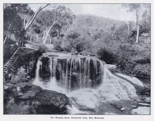 The Weeping Rock, Wentworth Falls, Blue Mountains (b/w photo) بواسطة مصور فوتوغرافي استرالي
