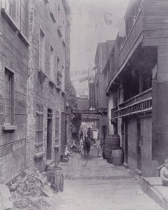 كندا: Little Champlain Street ، كيبيك (b / w photo) بواسطة المصور كندي