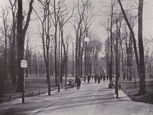في حديقة الحيوانات ، Ahornsteig (صورة b / w) بواسطة مصور فوتوغرافي ألماني