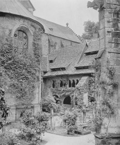 Tausendjahriger Rosenstock (b/w photo) بواسطة مصور فوتوغرافي ألماني
