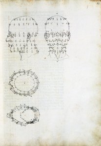 Construction and geometric projection of head, page from De Prospectiva pingendi (On Perspective of painting), by Piero della Francesca (ca 1415-1492), Italy بواسطة بييرو ديلا فرانشيسكا