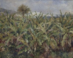 حقل أشجار الموز ، حقل أشجار الموز ، 1881 بواسطة بيير أوغست رينوار