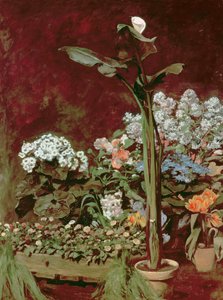 الزنبق ونباتات الدفيئة