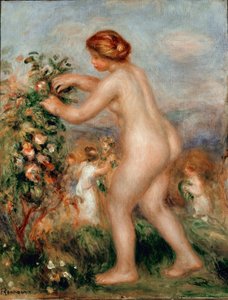 Ode to flowers. Naked woman ceuillating roses has a rose tree. Painting by Pierre Auguste Renoir (Pierre-Auguste