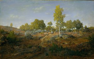 مسار بين الصخور ، ربما عام 1861.