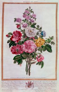 باقة من الورود الطباعة الحجرية لبيير جوزيف بوشوز (1731-1807) القرن الثامن عشر ، باريس ، بن بواسطة بيير جوزيف بوشوز